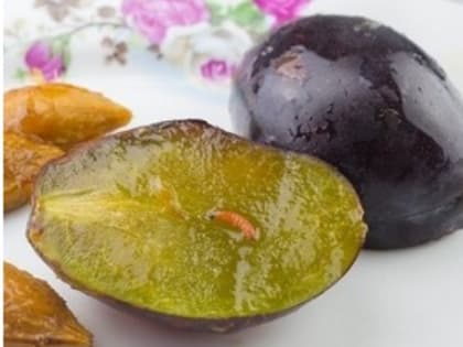 В Курумоче изъяли фрукты, в которых находились опасные вредители
