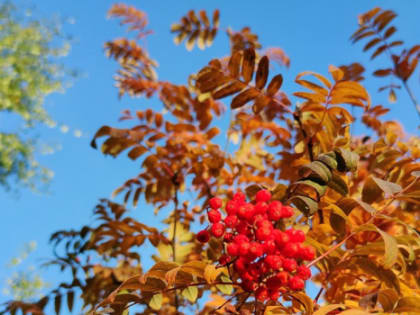 Народные приметы: 17 сентября. Не делайте это в День иконы Божией Матери, если не хотите сгинуть