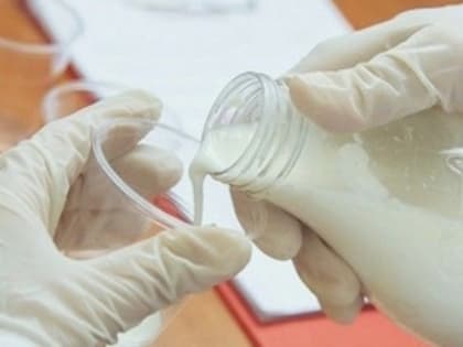 В Самарской области выявлены фальсифицированные молочные продукты местных производителей