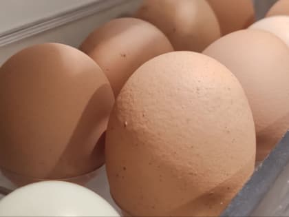 Как выбрать качественные куриные яйца: советы Роспотребнадзора
