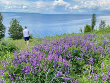 День святого Духа: что ни в коем случае нельзя делать 5 июня