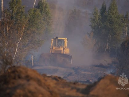 В Тольятти сутки тушили сильнейший пожар в лесу