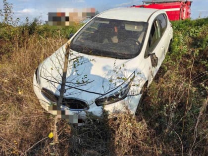 Новые тенденции в городской жизни