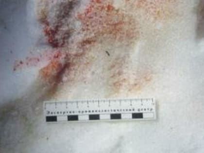 В Самарской области полицейские задержали подозреваемого в незаконной охоте