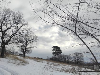 Надвигается резкое усиление ветра. Будьте осторожней!