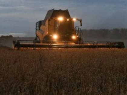В России собрали 155,5 миллиона тонн зерна с 97 процентов посевных площадей