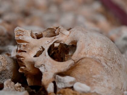 Черный юморист поднял в Сызрани тревогу из-за человеческого черепа
