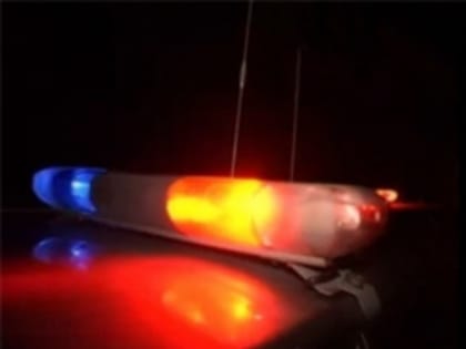 В Тольятти полицейские задержали подозреваемого в краже телефона