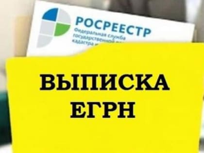 О земельном и транс­портном налогах органи­зациям с 2021 года будут сообщать сами налоговики