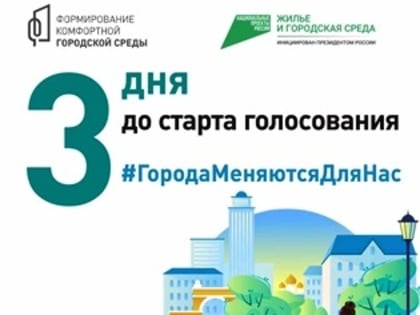 Внимание! В Тольятти стартует голосование за благоустройство общественных пространств