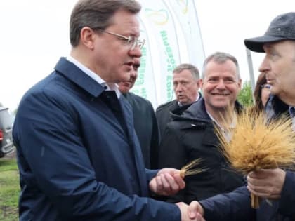 Селекционеры Самарской области создали новый сорт твердой пшеницы