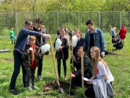 В Международный день семьи в Самаре появилась «Аллея семей Самарской области»