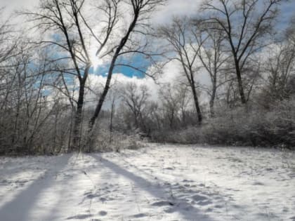 Народные приметы на 20 февраля: кого нужно помянуть в этот день и какой бедой грозит вечеринка