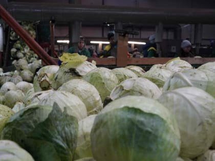 Мнение экспертов: какие продукты и напитки нельзя сочетать с лекарствами для сердца