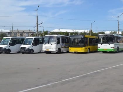 В Тольятти намечается оптимизация маршрутной сети