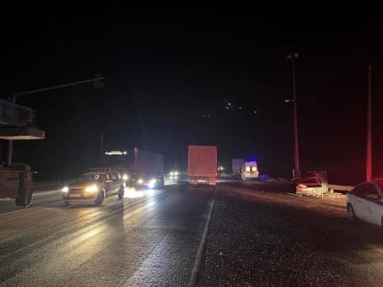 Смерть на трассе: в Самарской области в ДТП с грузовиком погибла женщина