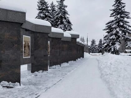 В Тольятти ищут достойных людей для Аллеи Славы