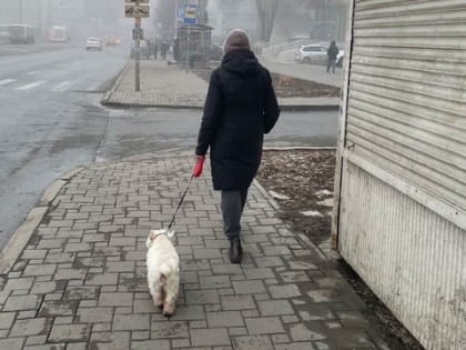 Пенсионеров ждет крупнейшая индексация за долгие годы. Пенсии повысят еще минимум на 10%