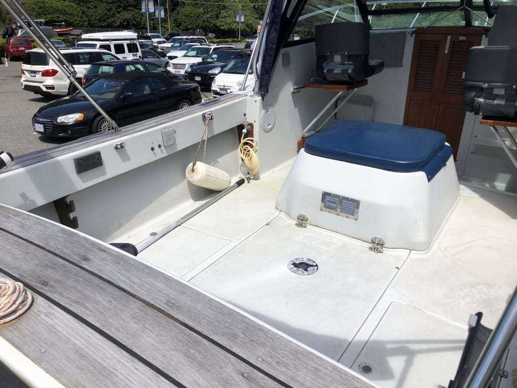 Thunderbird Marine24' Rampage 24 Express - Thunderbird Marine