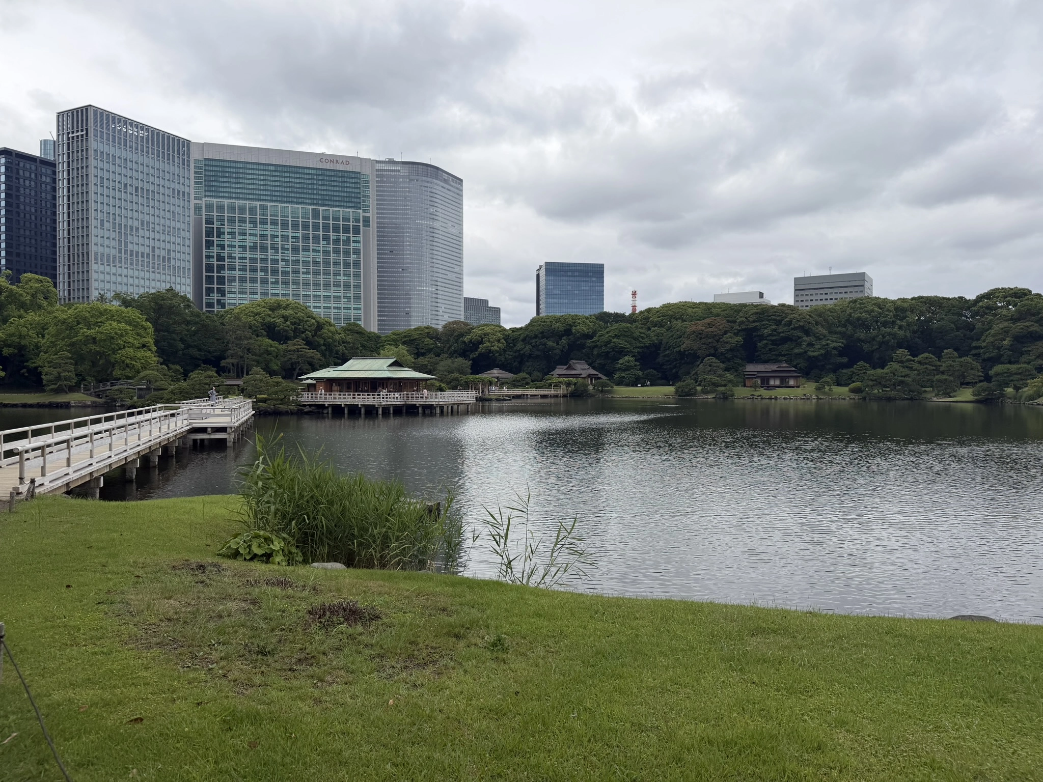 8 Best Gardens & Parks in Tokyo: My Personal Favorites (2026)