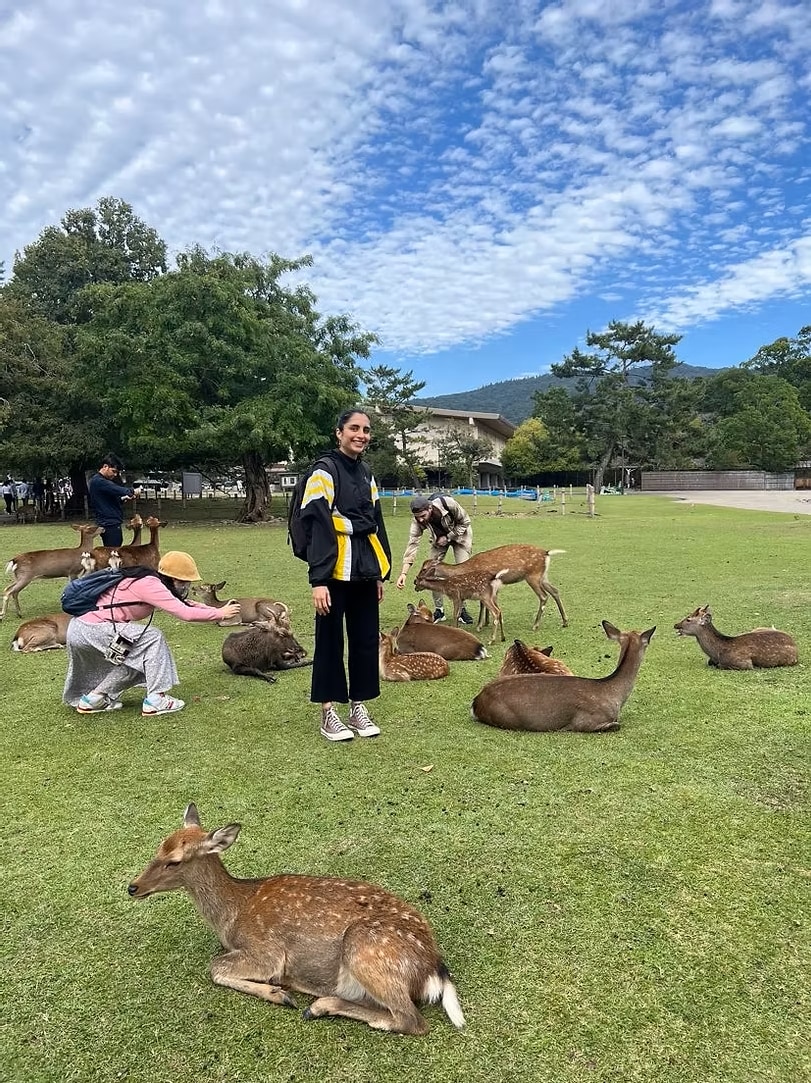 Stunning view of Matsuyama Castle and Matsuyama City below