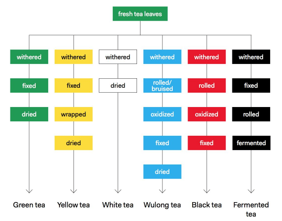Tea Processing Chart from 'Tea: A User's Guide' by Tony Gebely