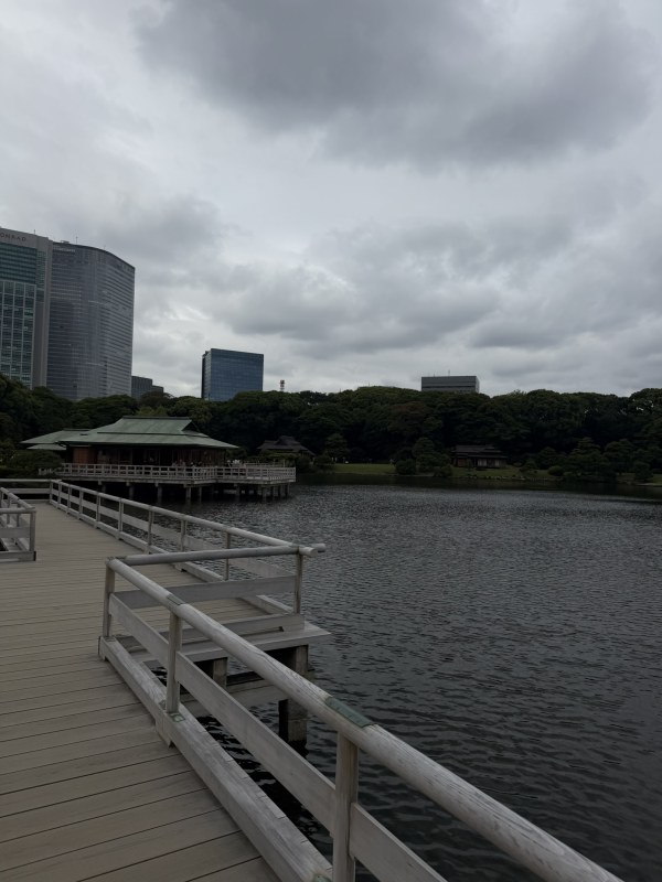 Beautiful garden with a pond and greenery at Hamarikyu Gardens in Tokyo