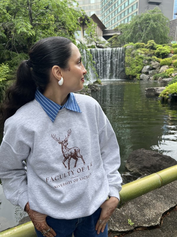 Waterfall in the Hotel New Otani Japanese Garden