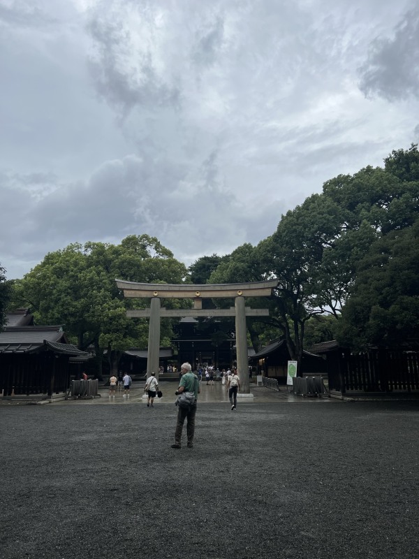 Tall trees lining the peaceful walking path to Meiji Jingu Shrine
