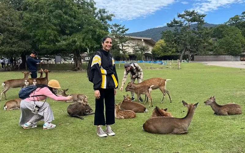 Stunning view of Matsuyama Castle and Matsuyama City below