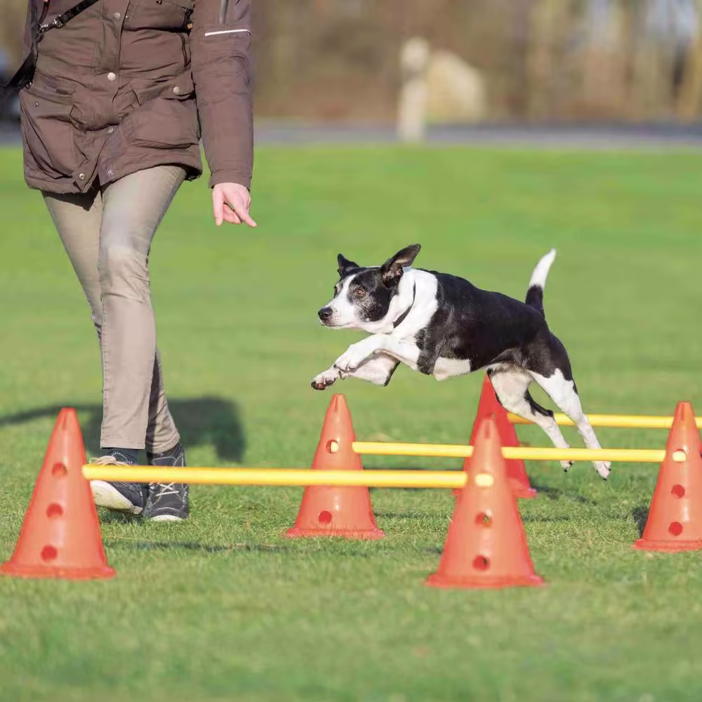 Agility Hinder
