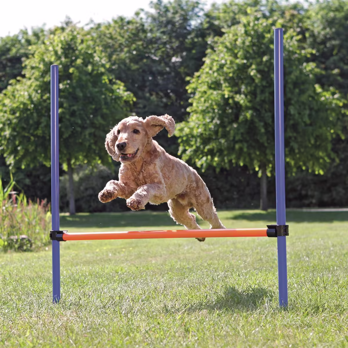 Agility Hinder 1,29m x 1,15m Blå/Oransje