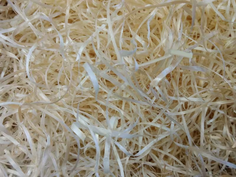 Ruti-Rex treull 8-12kg - Bilde 2