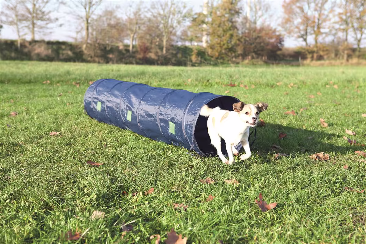 Agility Tunnel 2m / 40cm Mørk Blå