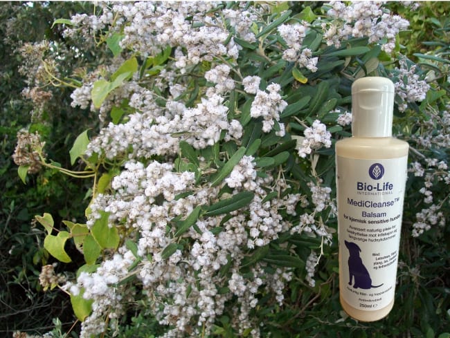 MediCleanse Balsam Hund (Allergi Hemmende) 250ml