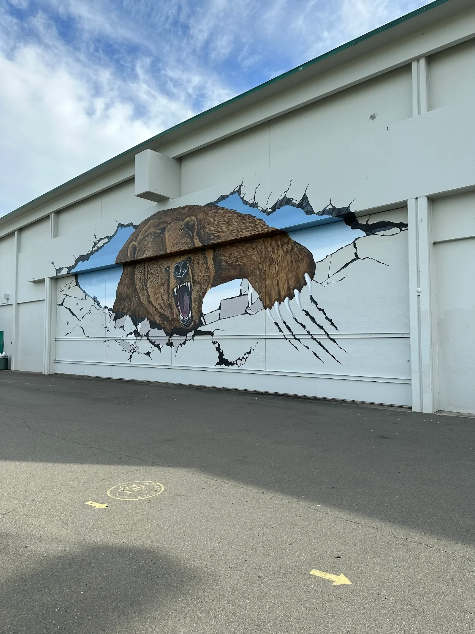 Murals for Schools - Mural Artist in Huntington Beach, CA