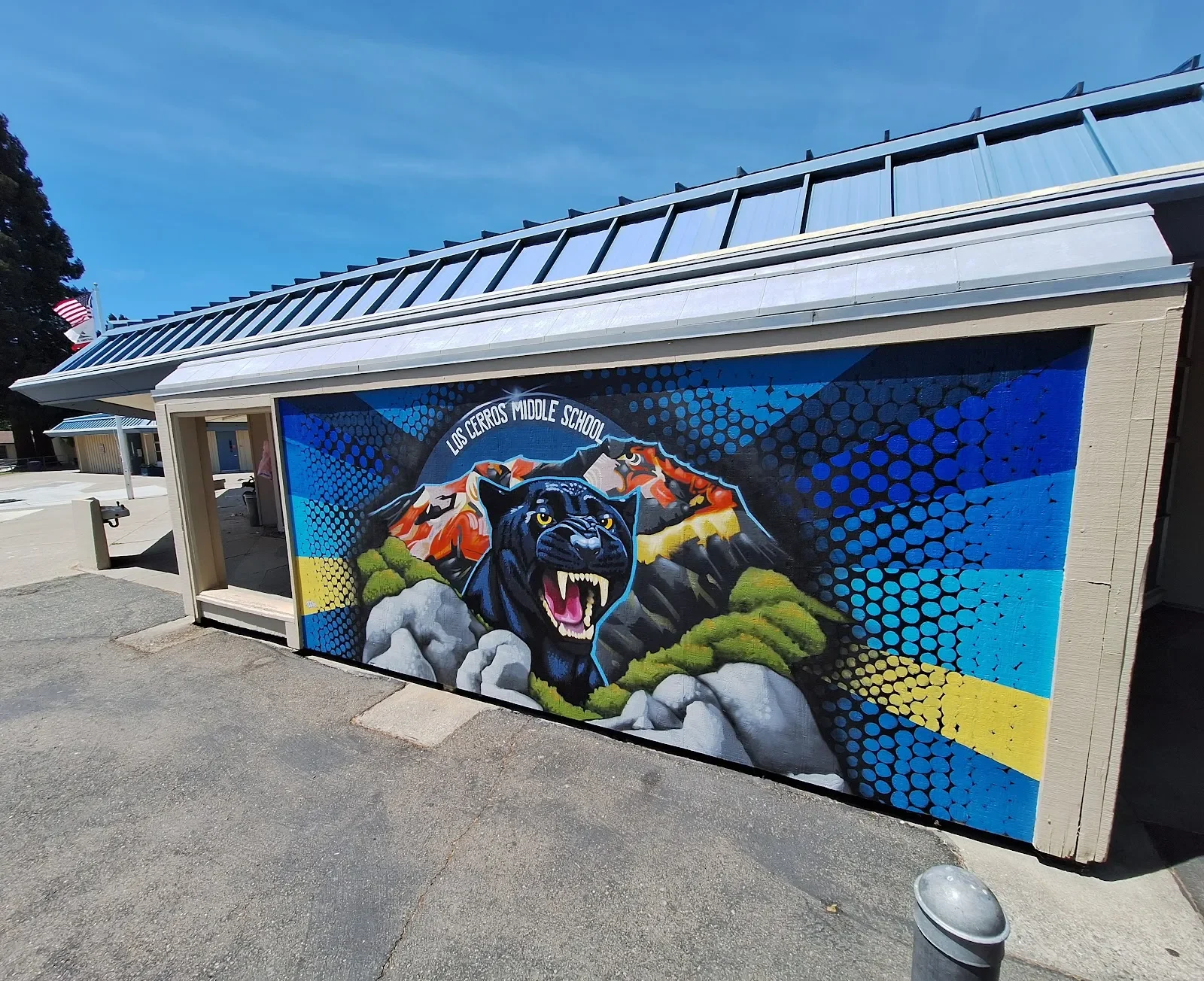 California Mural Art Mural in Fremont, CA