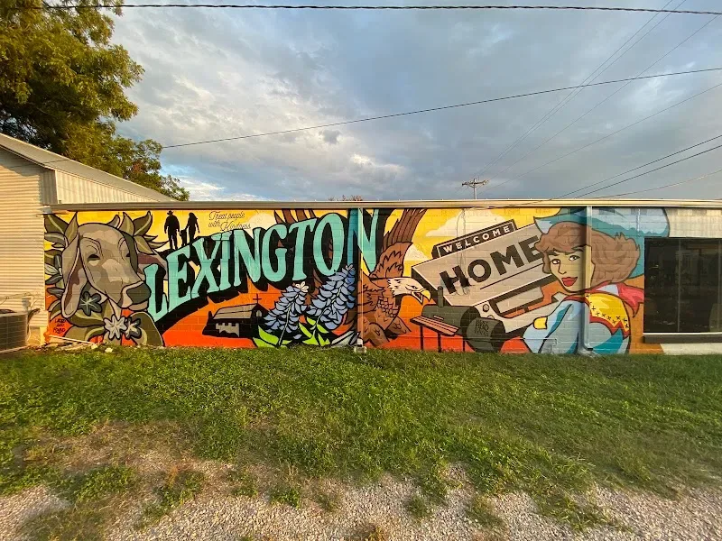 Laced and Found Murals - Mural Artist in Round Rock, TX