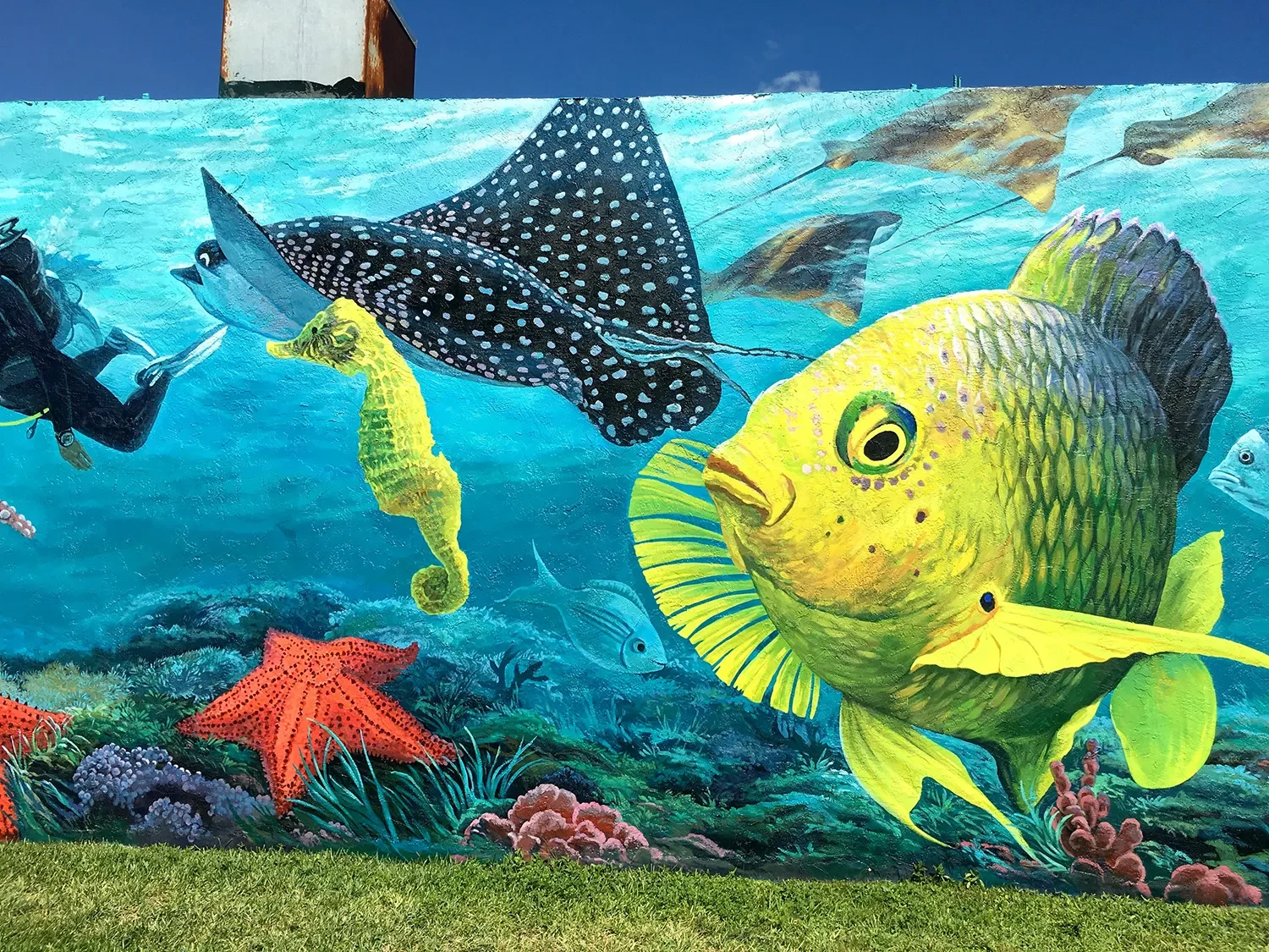 Murals by Georgeta Mural in West Palm Beach, FL