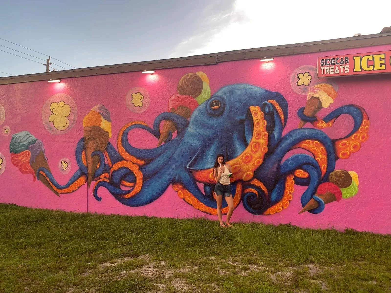 Artsemble Underground Murals - Mural Artist in Cape Coral, FL