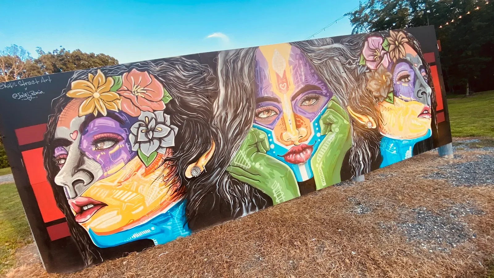 Kotis Street Art Mural in Cary, NC