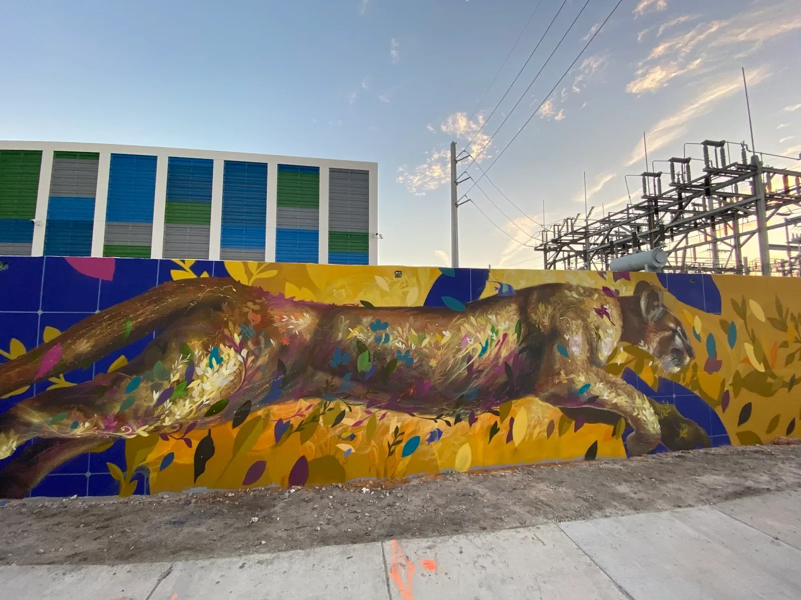 South Florida Mural Painters - Mural Artist in Pembroke Pines, FL