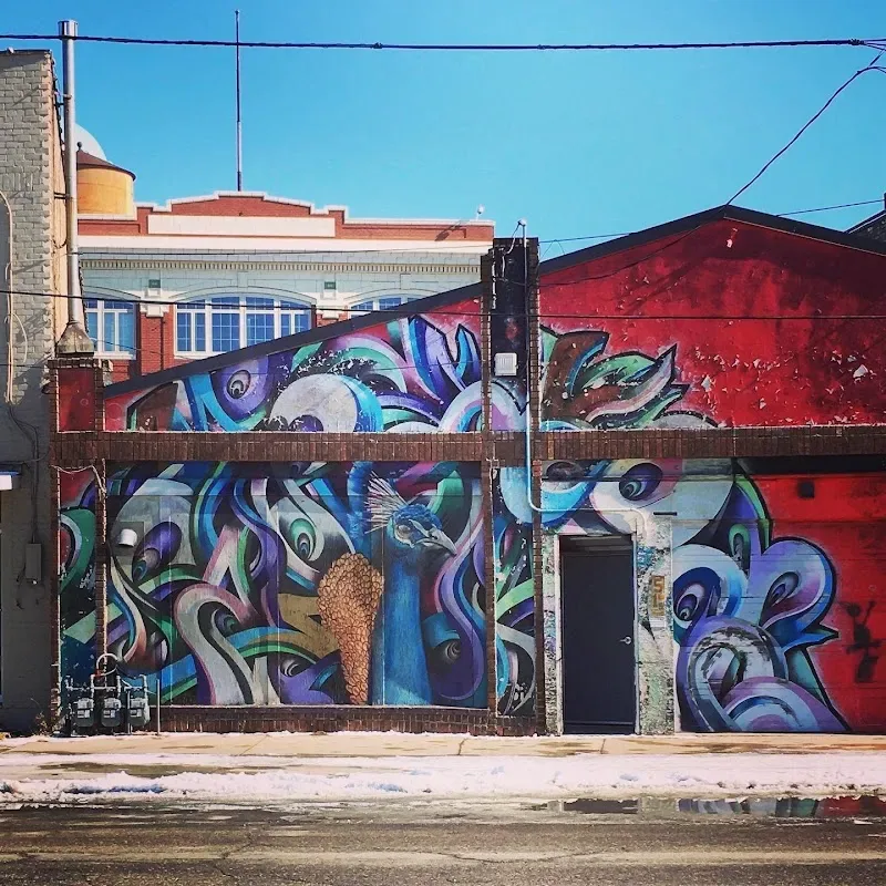 Peacock Mural in Fargo, ND