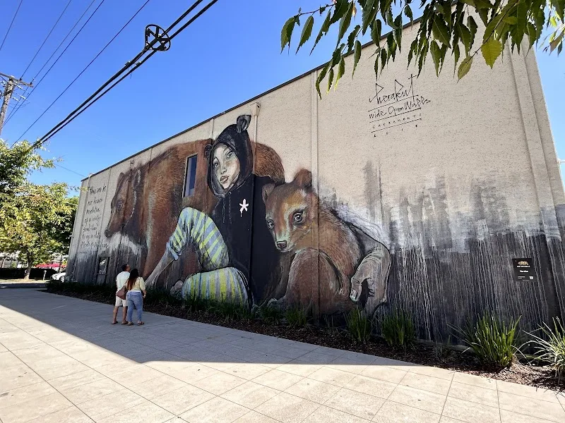 Wide Open Walls - Mural Artist in Sacramento, CA