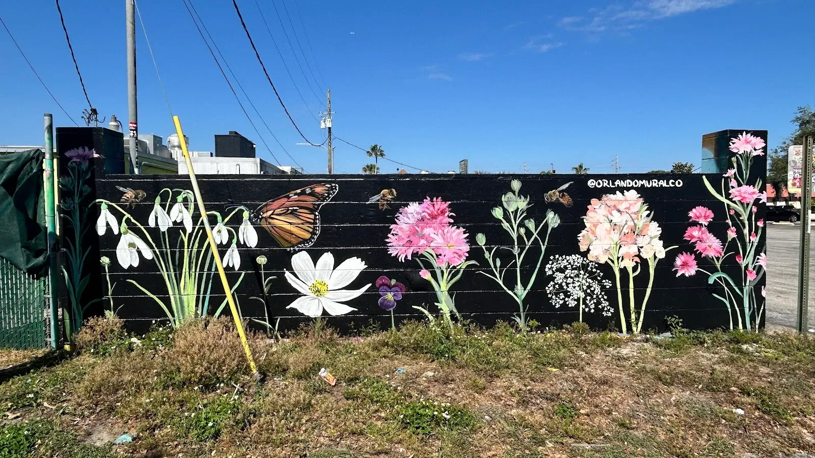 Orlando Mural Co. - Mural Artist in Orlando, FL