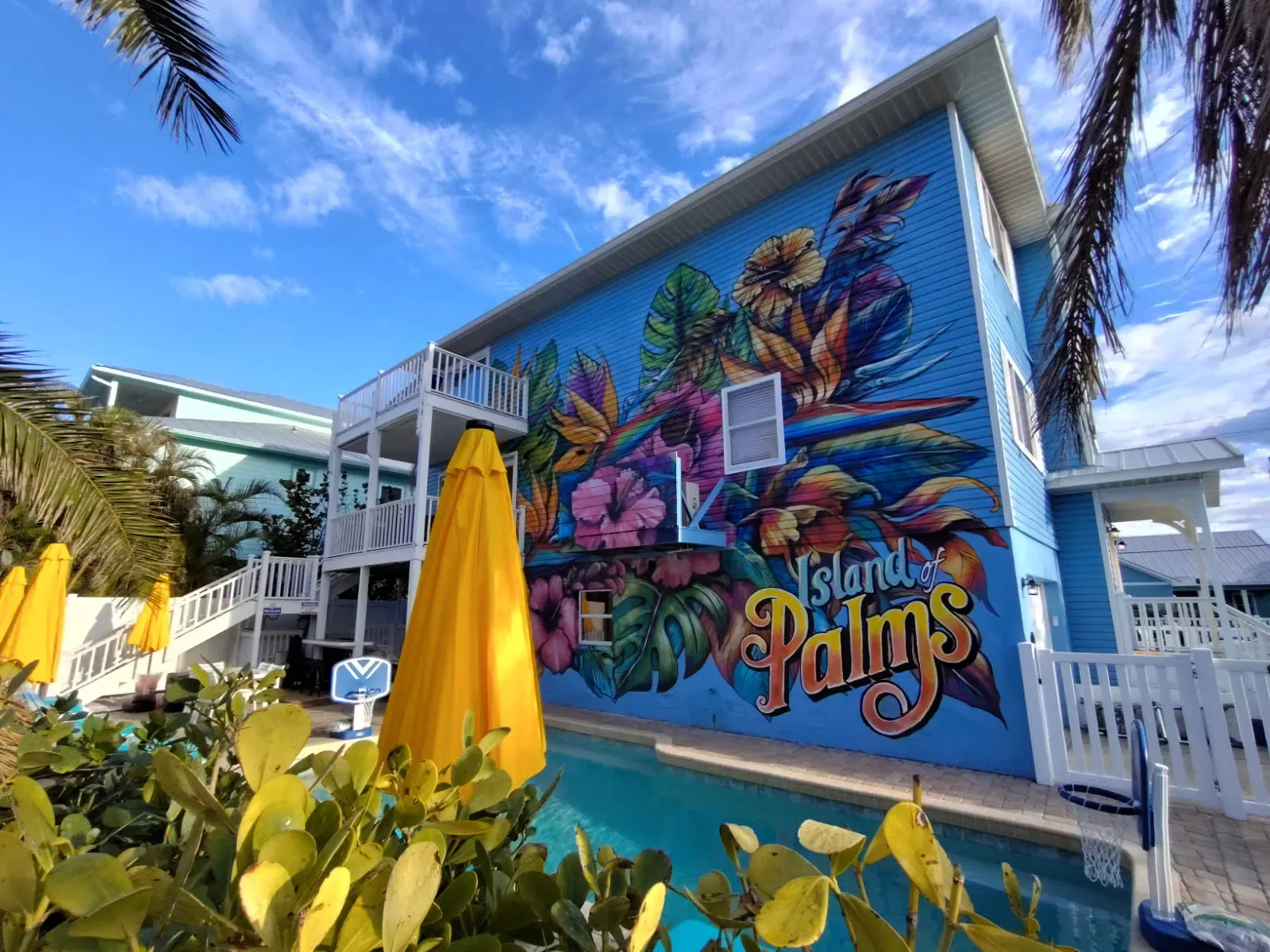 Tropical Mural Co Mural in Clearwater, FL