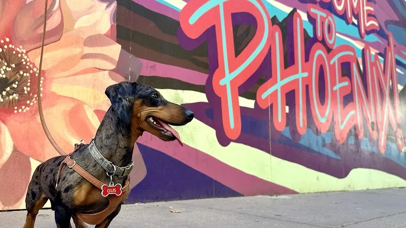 Kayla Newnam - Mural Artist in Phoenix, AZ