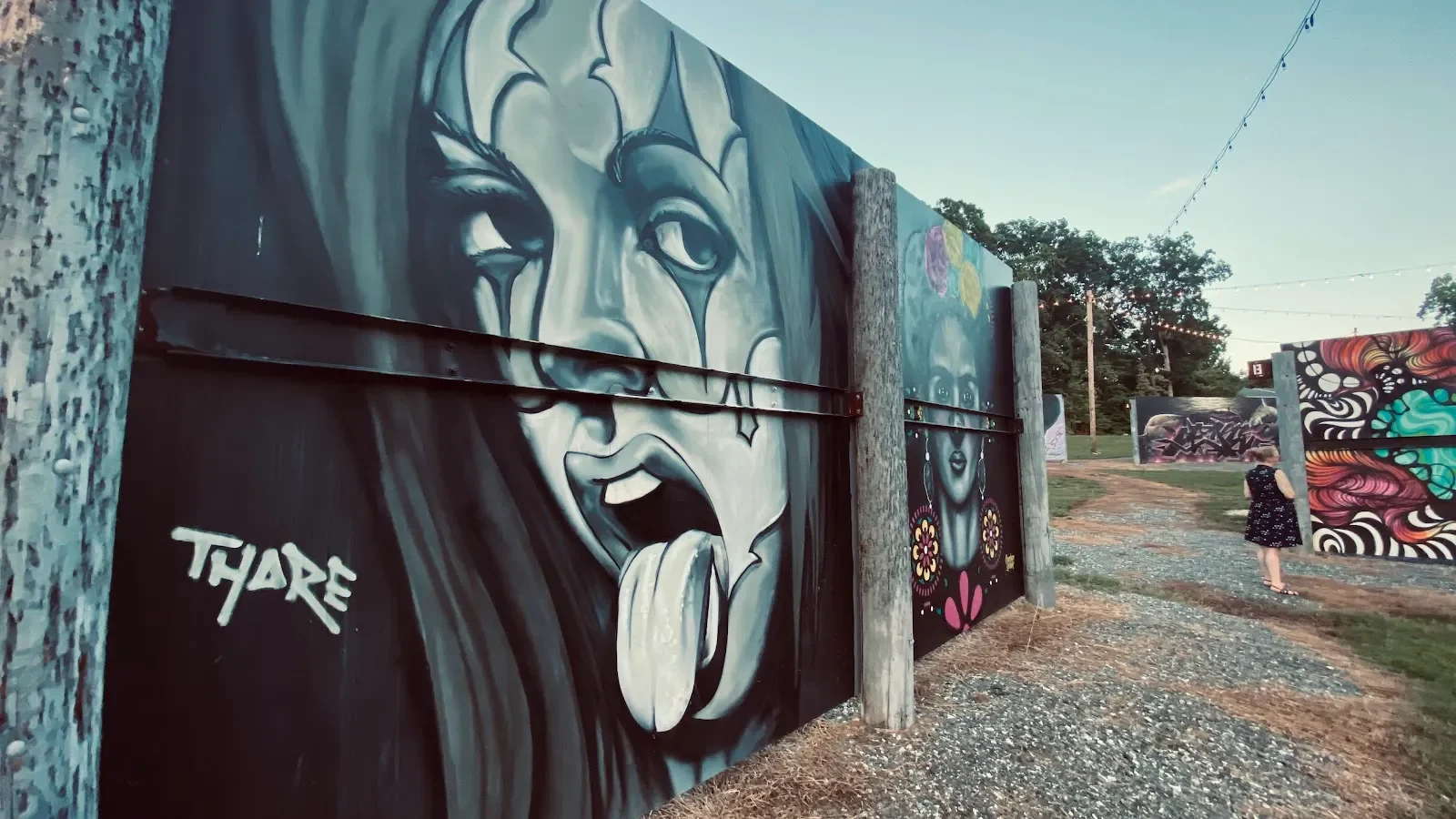 Kotis Street Art - Mural Artist in Cary, NC