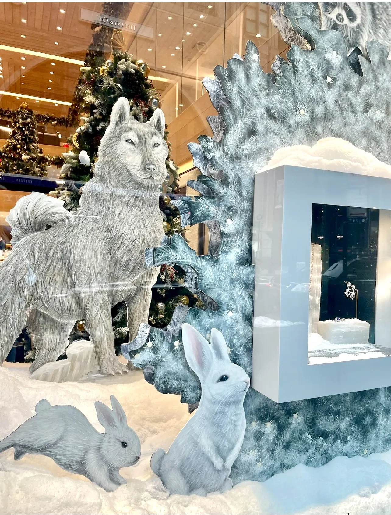 Arctic Wolf and Winter Rabbits Scene Mural in Stamford, CT