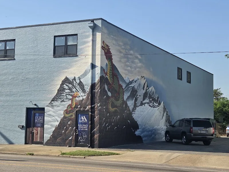 Dragon Rising Above Snow-Capped Mountains Mural in Newport News, VA